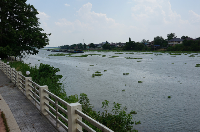DSC00842.JPG