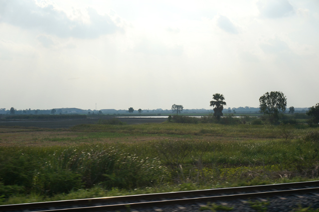 DSC00882.JPG