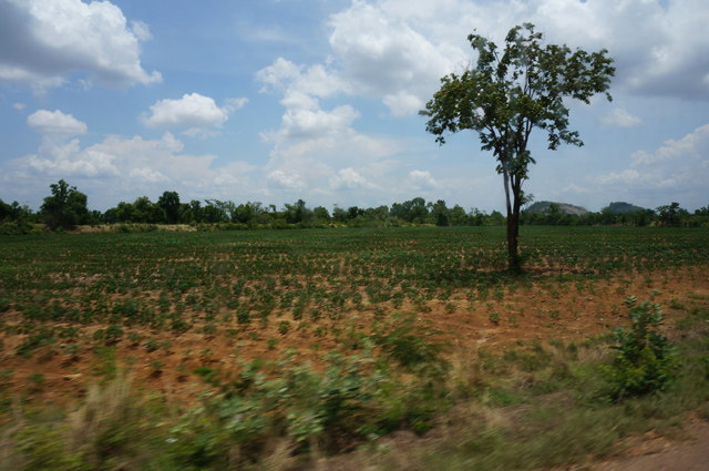 DSC01183.JPG