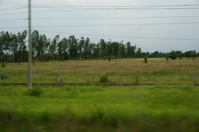 DSC01242.JPG