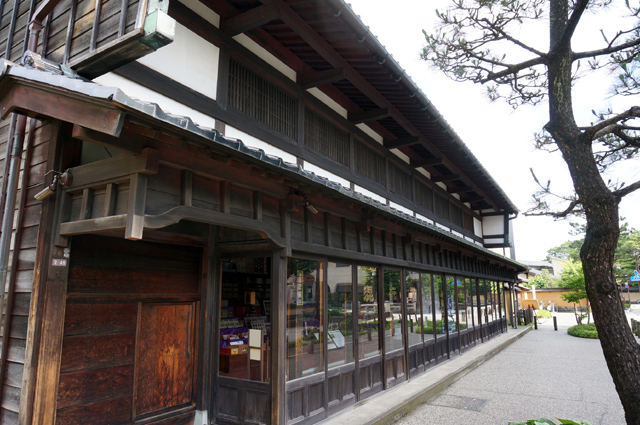 DSC02480.JPG