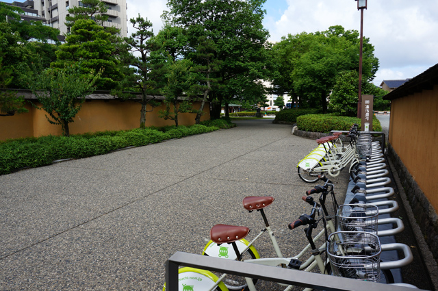DSC02484.JPG