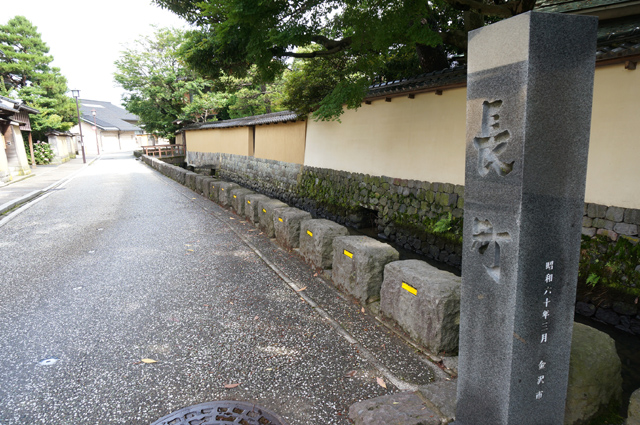 DSC02487.JPG