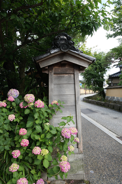 DSC02489.JPG
