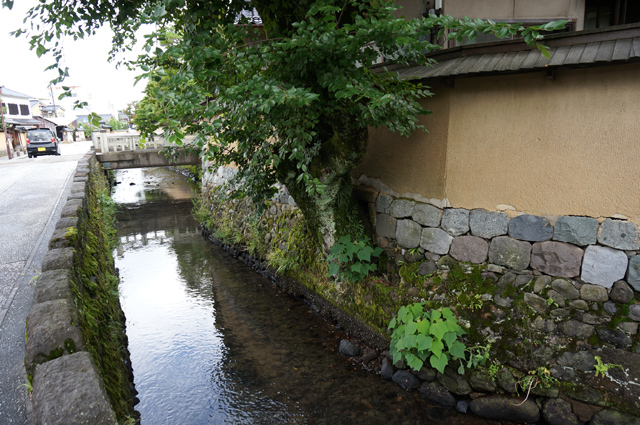 DSC02491.JPG