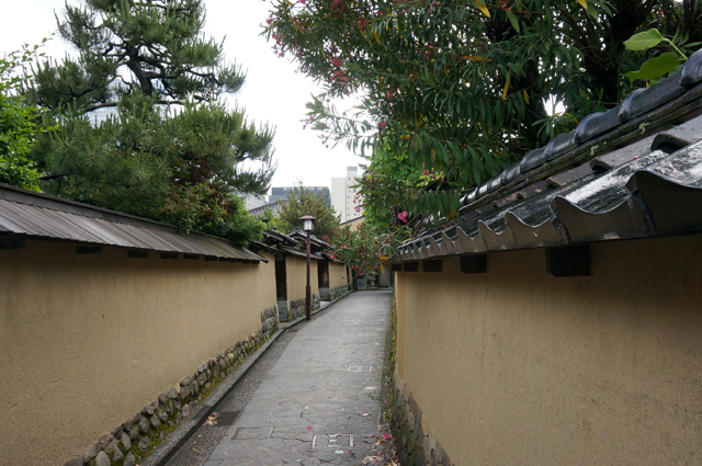 DSC02493.JPG