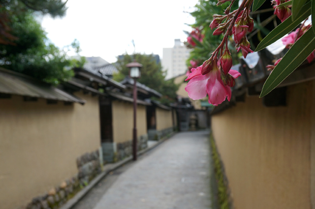 DSC02495.JPG
