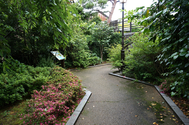 DSC02502.JPG