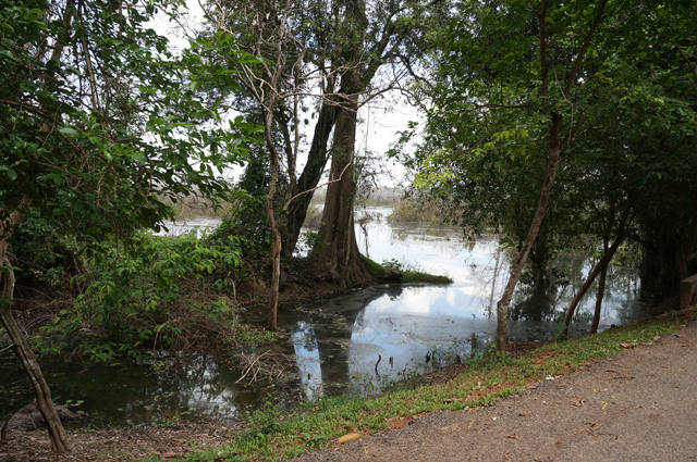 DSC01471.JPG