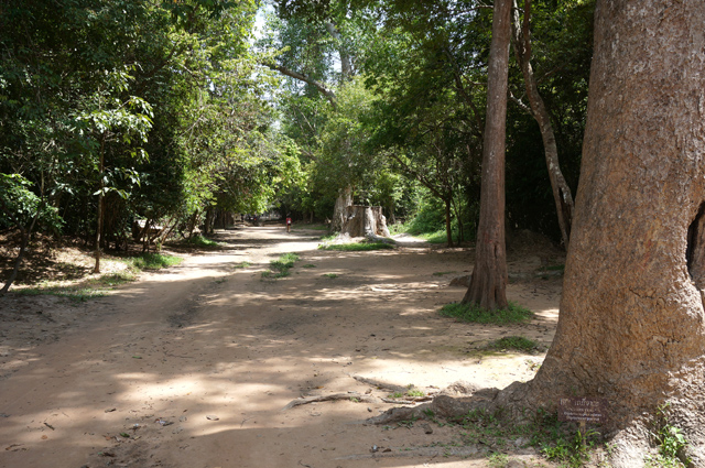 DSC01487.JPG