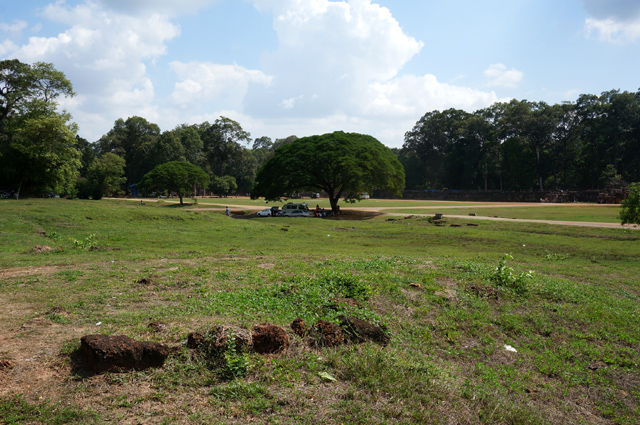 DSC01513.JPG