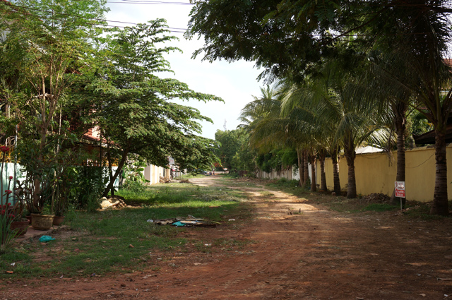 DSC01533.JPG