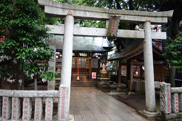 DSC03243.JPG