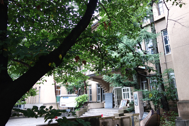 DSC03307.JPG