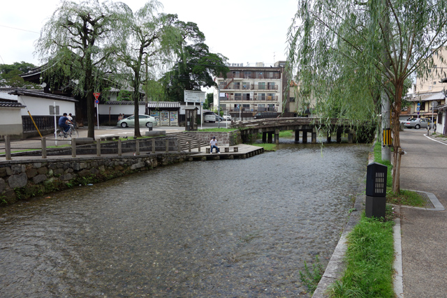 DSC03362.JPG