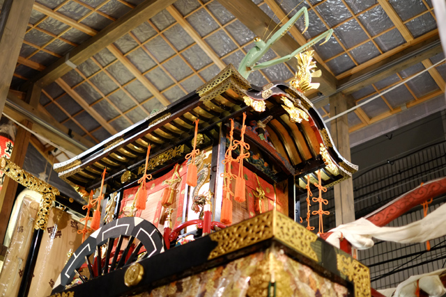 DSCF1475.JPG