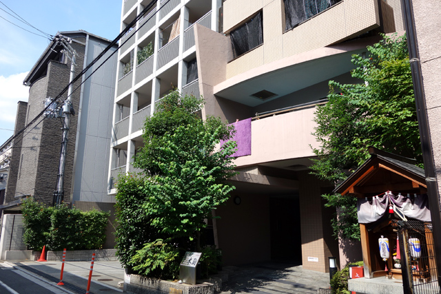 DSC03460.JPG