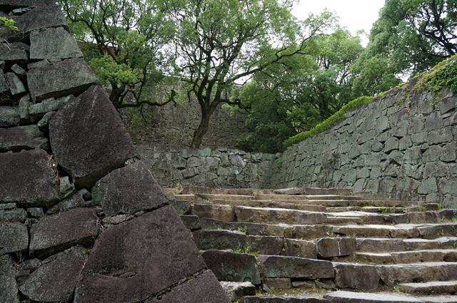 DSC03320.JPG