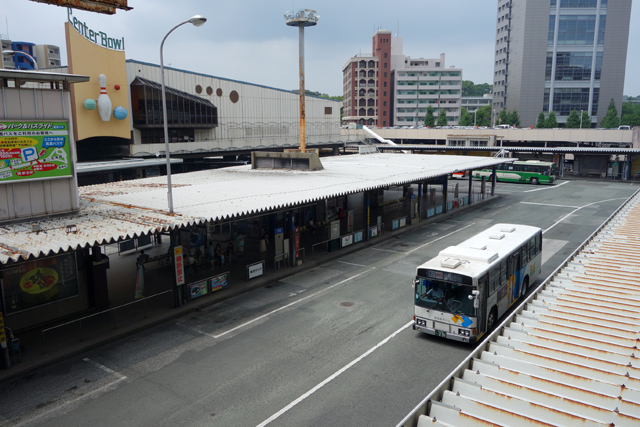 DSC04217.JPG