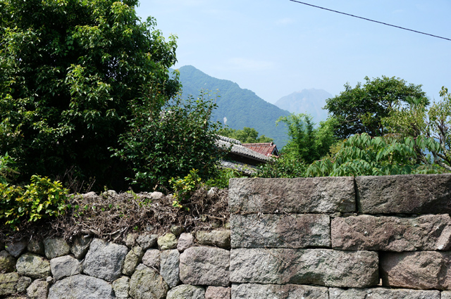 DSC03433.JPG