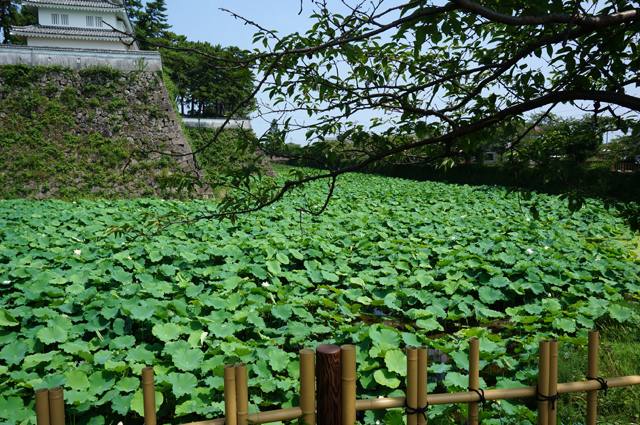 DSC03444.JPG
