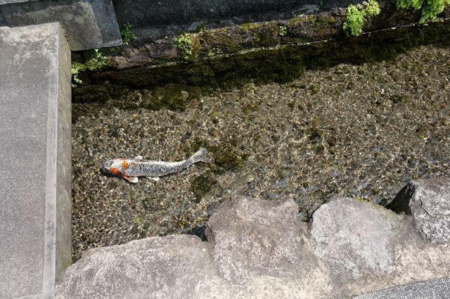 DSC03452.JPG