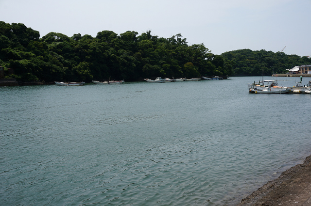 DSC03457.JPG