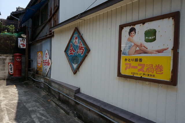 DSC03473.JPG