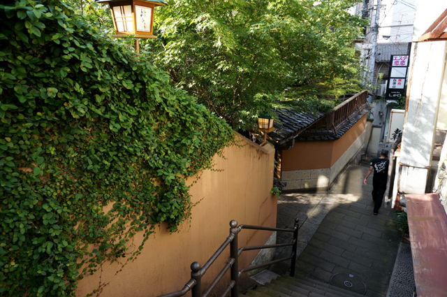 DSC03537.JPG