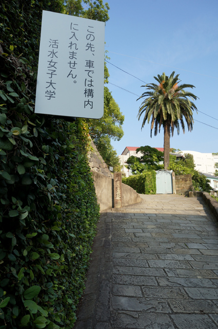 DSC03551.JPG