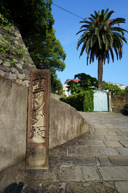 DSC03553.JPG