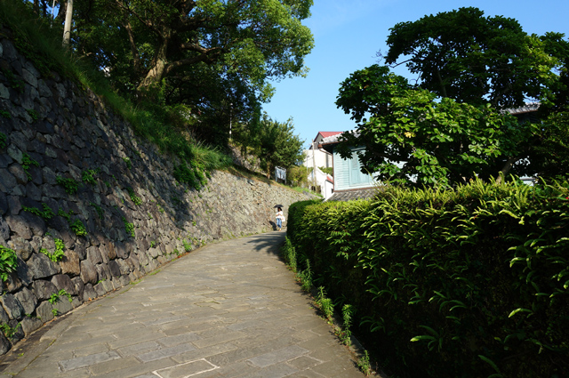 DSC03554.JPG