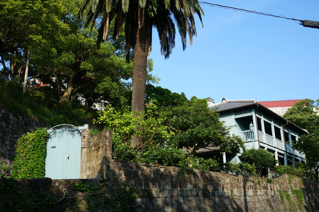 DSC03557.JPG