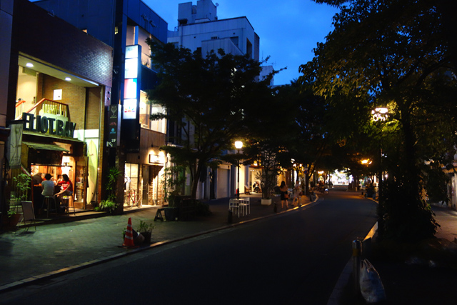 DSC04236.JPG