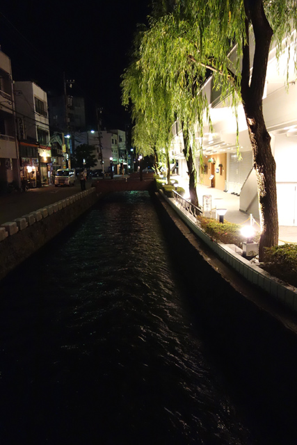 DSC04464.JPG