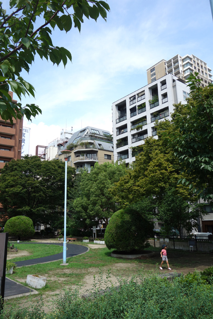 DSC00136.JPG