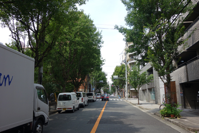 DSC00137.JPG