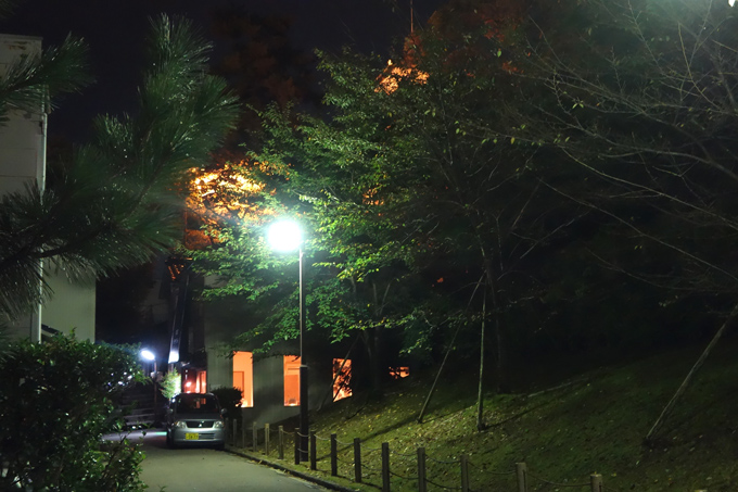 DSC01022.JPG