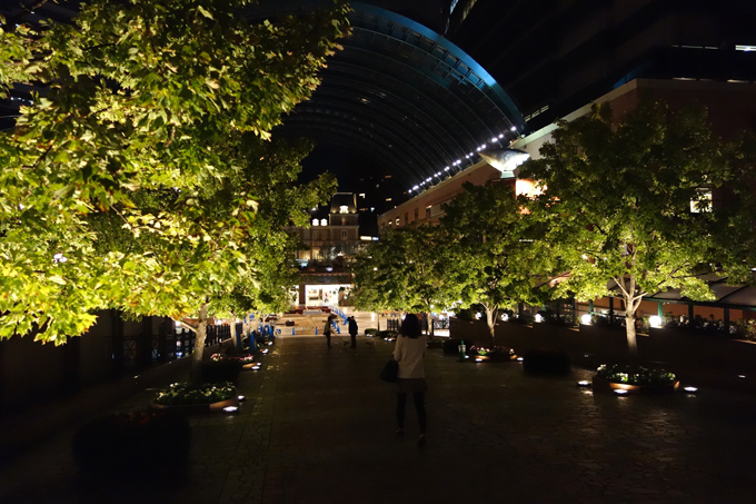 DSC01327.JPG