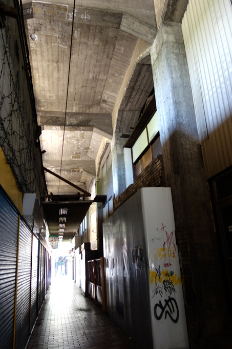 DSC01441.JPG