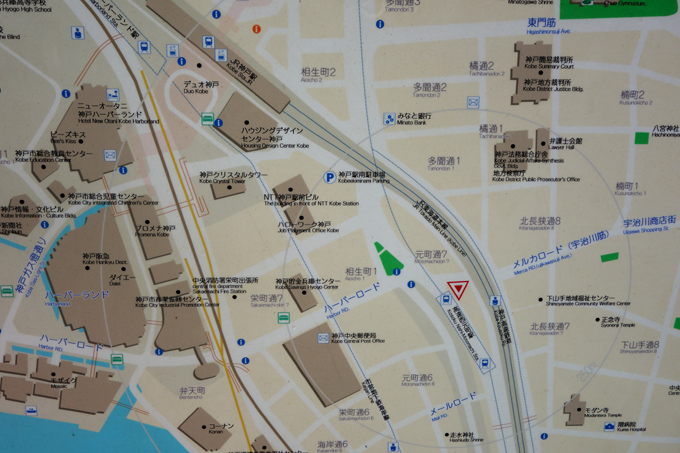 DSC01453.JPG