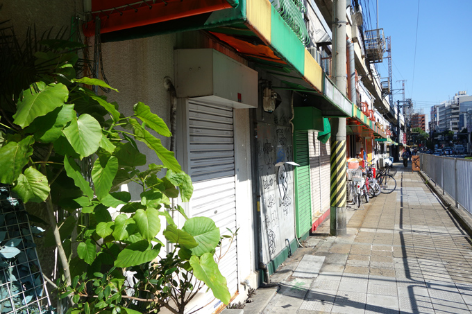 DSC01465.JPG
