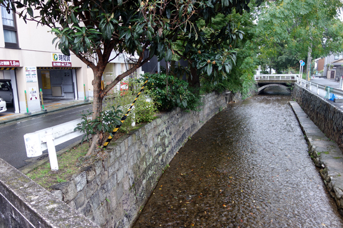 DSC01651.JPG