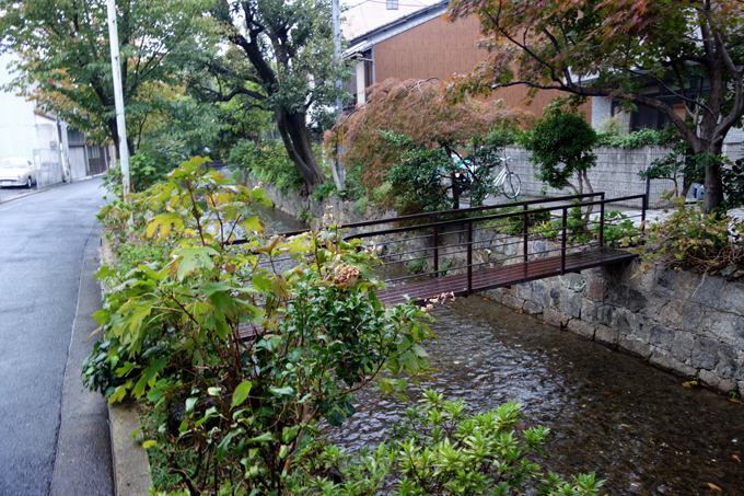 DSC01657.JPG