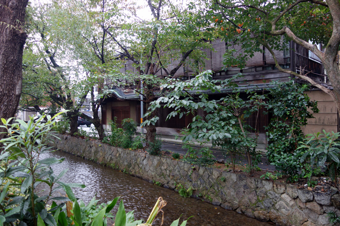 DSC01680.JPG