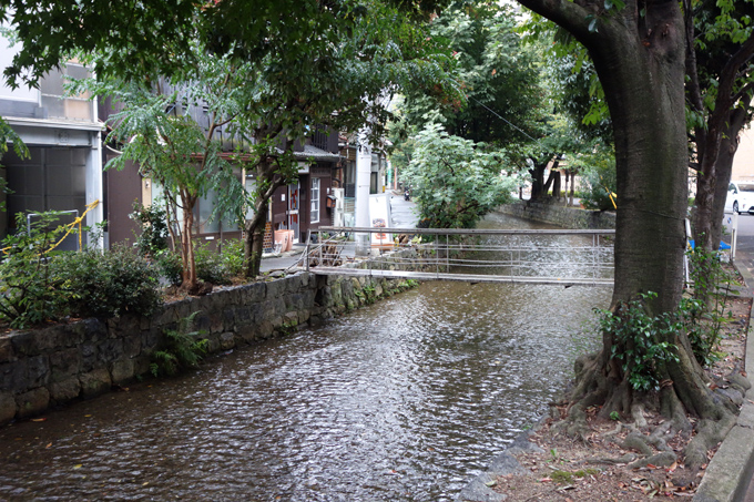 DSC01686.JPG