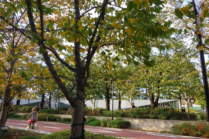 DSC01783.JPG