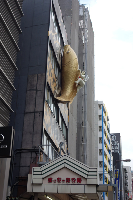 DSC02241.JPG