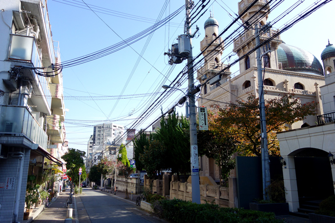 DSC02320.JPG