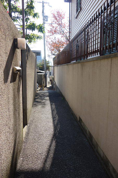 DSC02348.JPG